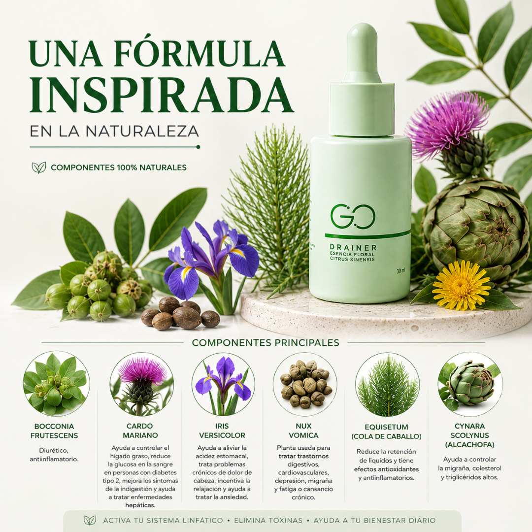 LYMVERA™ | Gotas de Drenaje Linfático